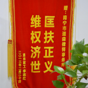 匡扶正义  维权济世