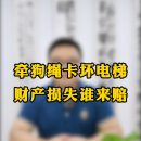 牵狗绳卡坏电梯，财产损失谁来赔？